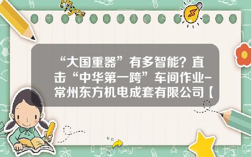 “大国重器”有多智能？直击“中华第一跨”车间作业-常州东方机电成套有限公司【新闻】.