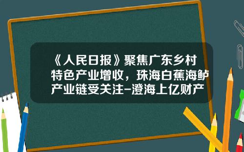 《人民日报》聚焦广东乡村特色产业增收，珠海白蕉海鲈产业链受关注-澄海上亿财产的公司多少