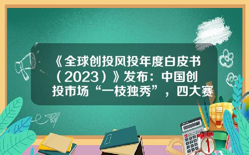 《全球创投风投年度白皮书（2023）》发布：中国创投市场“一枝独秀”，四大赛道倍受资本青睐-创投资讯股票