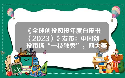 《全球创投风投年度白皮书（2023）》发布：中国创投市场“一枝独秀”，四大赛道倍受资本青睐-基金创投是什么意思