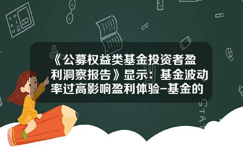 《公募权益类基金投资者盈利洞察报告》显示：基金波动率过高影响盈利体验-基金的波动率