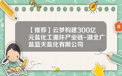 【推荐】云梦构建300亿元盐化工循环产业链-湖北广盐蓝天盐化有限公司