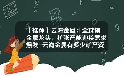 【推荐】云海金属：全球镁金属龙头，扩张产能迎接需求爆发-云海金属有多少矿产资源