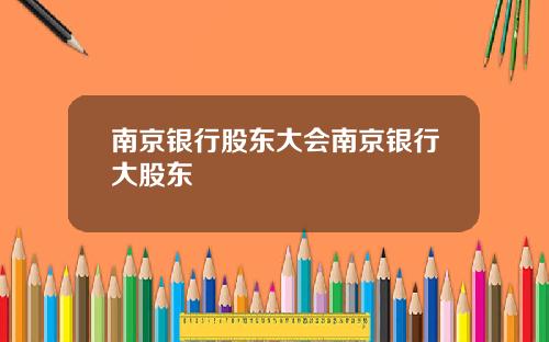 南京银行股东大会南京银行大股东