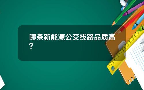 哪条新能源公交线路品质高？