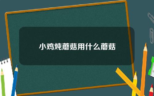 小鸡炖蘑菇用什么蘑菇