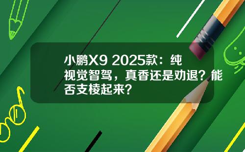 小鹏X9 2025款：纯视觉智驾，真香还是劝退？能否支棱起来？