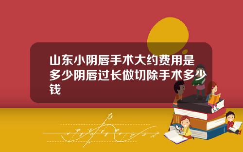山东小阴唇手术大约费用是多少阴唇过长做切除手术多少钱