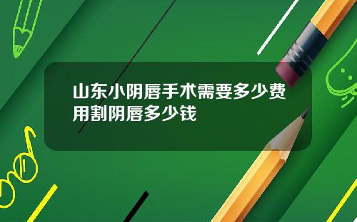 山东小阴唇手术需要多少费用割阴唇多少钱