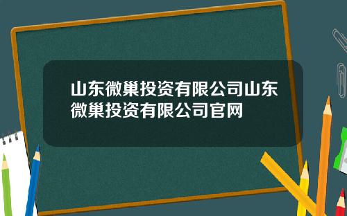 山东微巢投资有限公司山东微巢投资有限公司官网