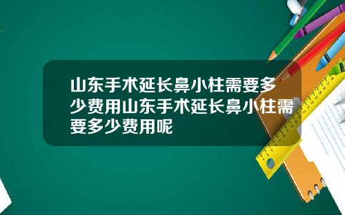 山东手术延长鼻小柱需要多少费用山东手术延长鼻小柱需要多少费用呢