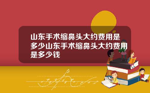 山东手术缩鼻头大约费用是多少山东手术缩鼻头大约费用是多少钱