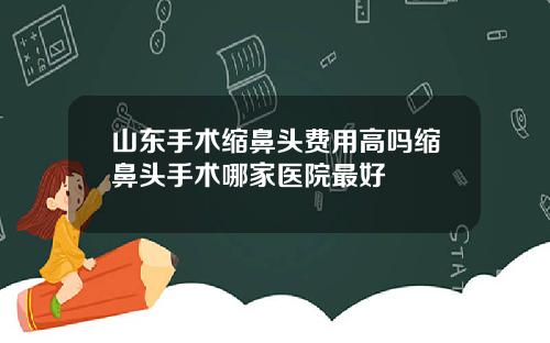山东手术缩鼻头费用高吗缩鼻头手术哪家医院最好