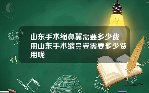 山东手术缩鼻翼需要多少费用山东手术缩鼻翼需要多少费用呢