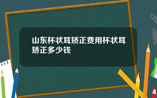 山东杯状耳矫正费用杯状耳矫正多少钱