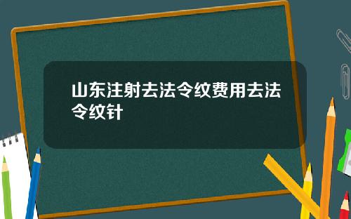 山东注射去法令纹费用去法令纹针
