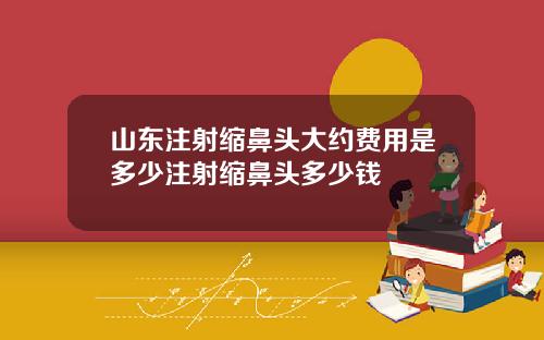 山东注射缩鼻头大约费用是多少注射缩鼻头多少钱