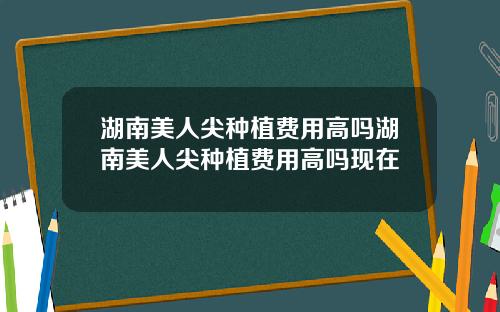 湖南美人尖种植费用高吗湖南美人尖种植费用高吗现在