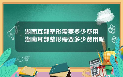湖南耳部整形需要多少费用湖南耳部整形需要多少费用呢