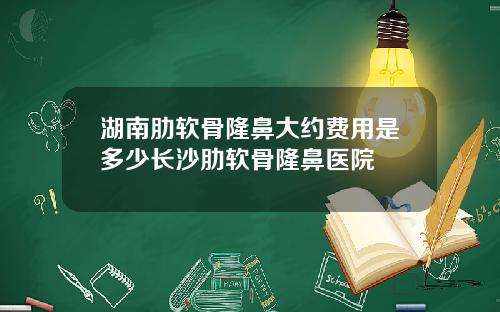 湖南肋软骨隆鼻大约费用是多少长沙肋软骨隆鼻医院