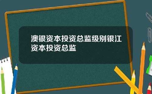 澳银资本投资总监级别银江资本投资总监