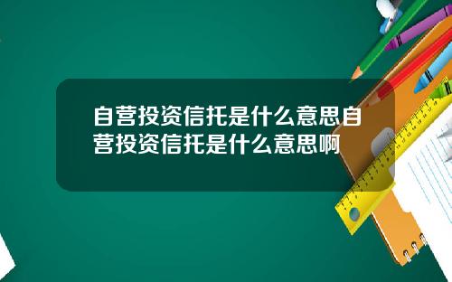 自营投资信托是什么意思自营投资信托是什么意思啊
