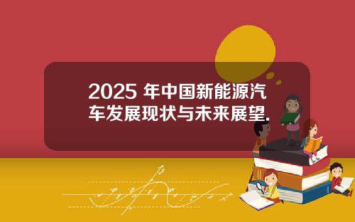 2025 年中国新能源汽车发展现状与未来展望.