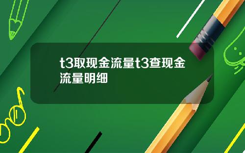 t3取现金流量t3查现金流量明细