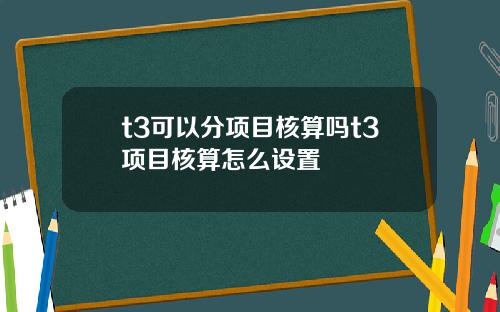 t3可以分项目核算吗t3项目核算怎么设置