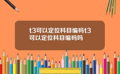 t3可以定位科目编码t3可以定位科目编码吗