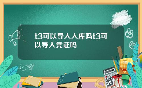 t3可以导入入库吗t3可以导入凭证吗