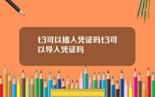 t3可以插入凭证吗t3可以导入凭证吗