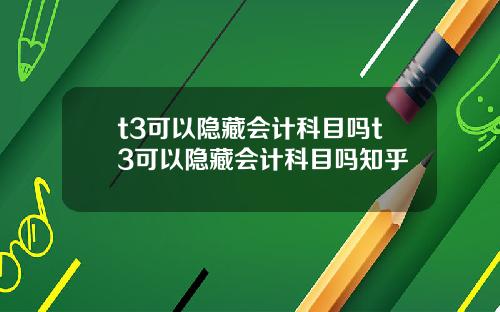 t3可以隐藏会计科目吗t3可以隐藏会计科目吗知乎