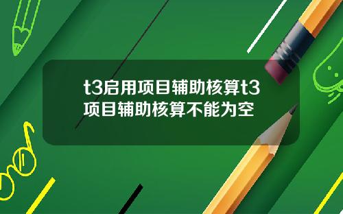 t3启用项目辅助核算t3项目辅助核算不能为空