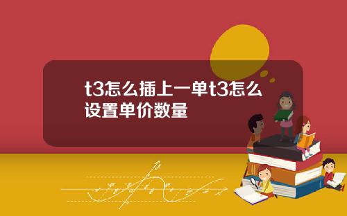 t3怎么插上一单t3怎么设置单价数量