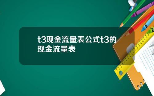 t3现金流量表公式t3的现金流量表