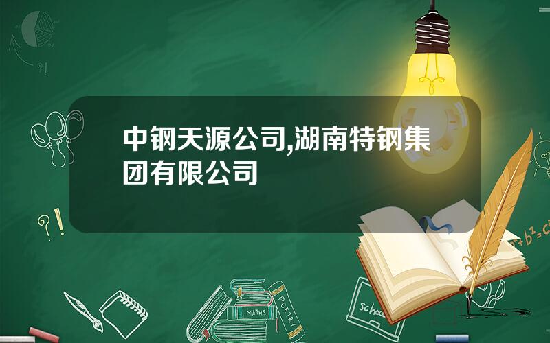 中钢天源公司,湖南特钢集团有限公司