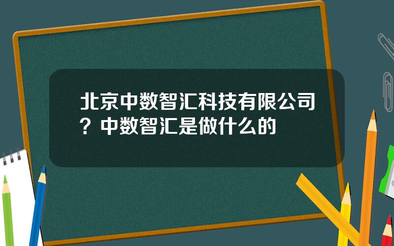 北京中数智汇科技有限公司？中数智汇是做什么的
