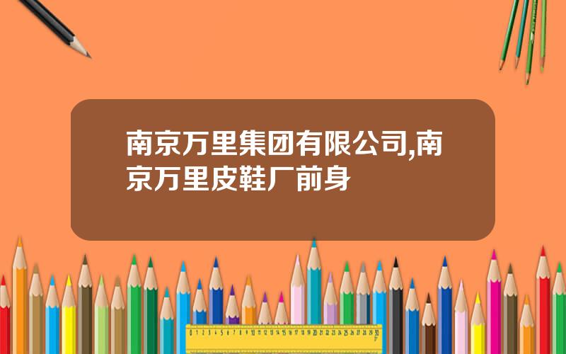 南京万里集团有限公司,南京万里皮鞋厂前身