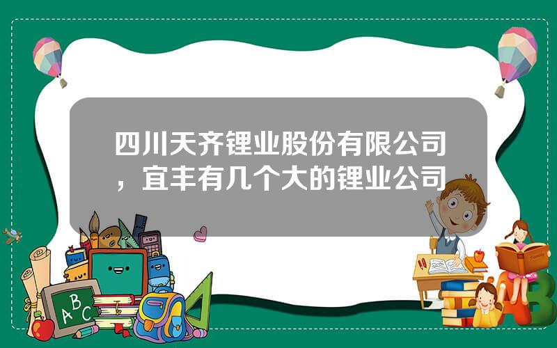 四川天齐锂业股份有限公司，宜丰有几个大的锂业公司