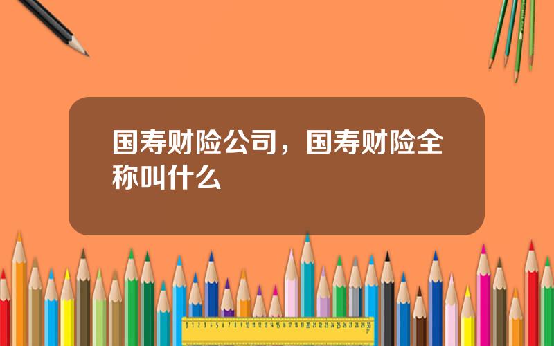 国寿财险公司，国寿财险全称叫什么
