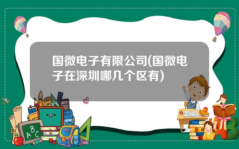 国微电子有限公司(国微电子在深圳哪几个区有)