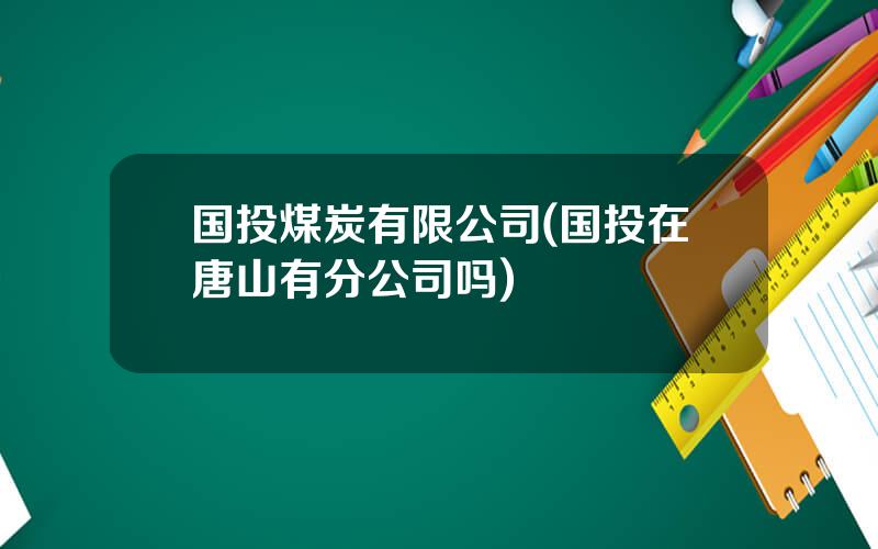 国投煤炭有限公司(国投在唐山有分公司吗)
