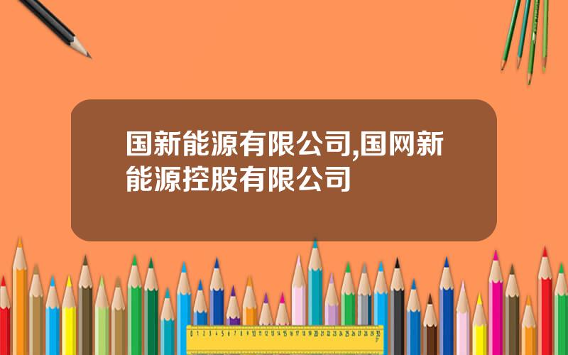 国新能源有限公司,国网新能源控股有限公司