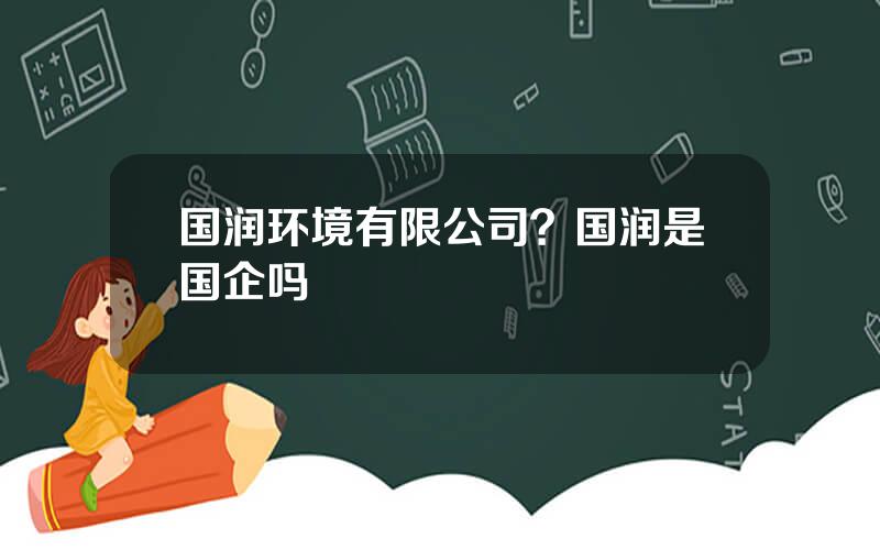 国润环境有限公司？国润是国企吗