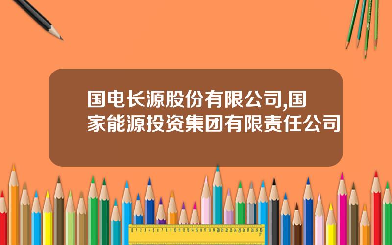 国电长源股份有限公司,国家能源投资集团有限责任公司