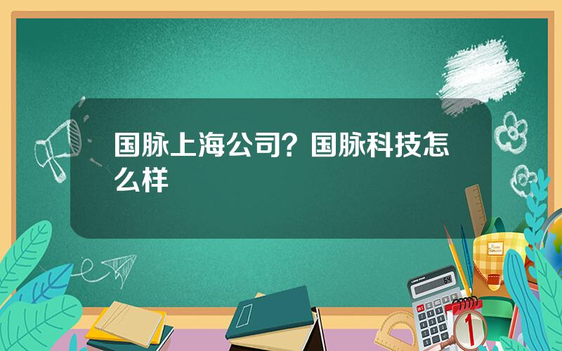 国脉上海公司？国脉科技怎么样