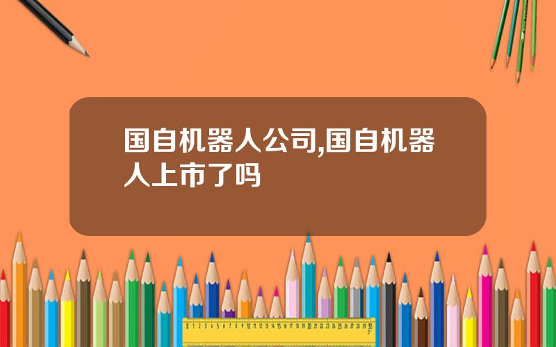 国自机器人公司,国自机器人上市了吗