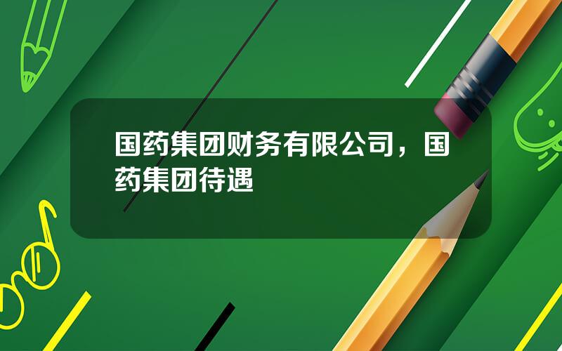 国药集团财务有限公司，国药集团待遇