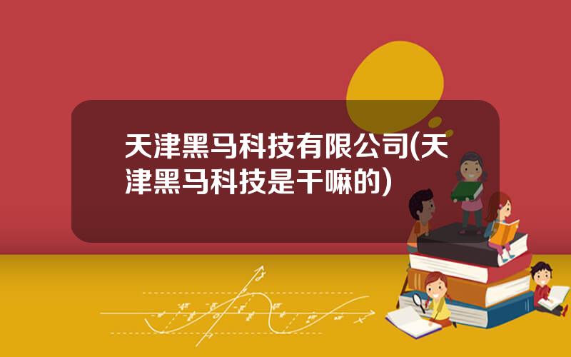 天津黑马科技有限公司(天津黑马科技是干嘛的)